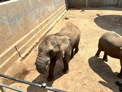 -西霞口神雕山野生动物世界