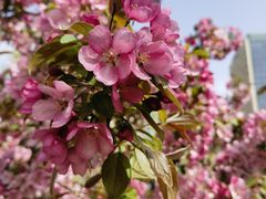 -元大都城垣遗址公园