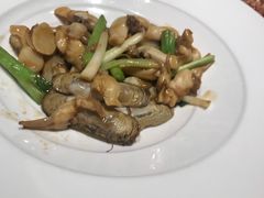 葱姜炒蛏子-徐记海鲜·宴会(大唐西市|丰庆店)