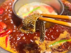 -胖碗火锅(观音桥店)