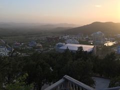 -石家庄市动物园