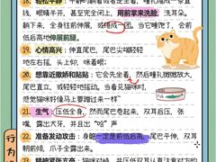 -荔康动物医院(康王北路店)