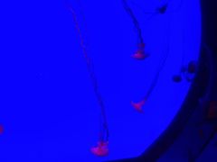 -沈阳海洋探索中心