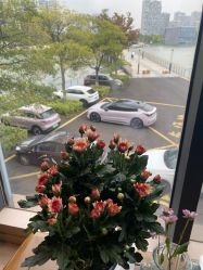 -乐茵敔山湾月子中心(独栋湖景店)