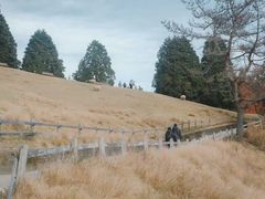 -神户市立六甲山牧场