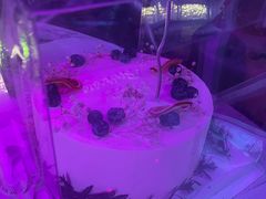 -锦时动物奶油蛋糕(茂业东方时代店)