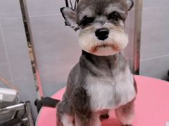 -宠福鑫康馨动物医院·骨科·眼科