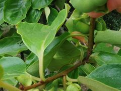 -梁鸿国家湿地公园