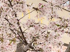 -幕燕滨江·长江观音景区