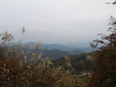 -东白山
