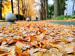 -西南交通大学(九里校区)