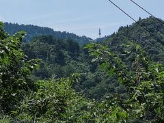 -木兰云雾山