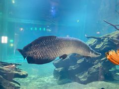 -华夏文旅海洋公园