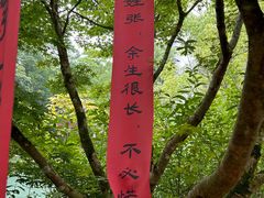 -灵栖洞天