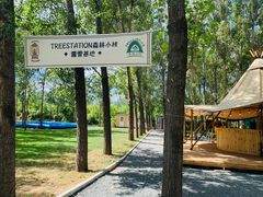 -森林小栈TreeStation露营基地