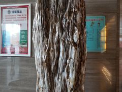 -中南·知音时尚水疗会馆