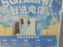 -中国电信(龙盛国际营业厅)
