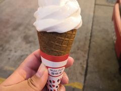 -富豪雪糕车流动点(尖沙咀店)