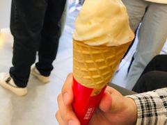 -蜜雪冰城(托乐嘉店)