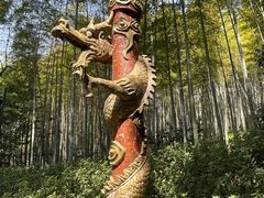 -杭州黄龙洞