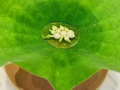 -南堂馆·新川菜(天府三街店)