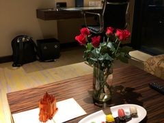 -芽庄喜来登水疗酒店