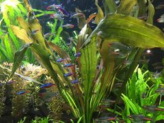 -上海海洋水族馆