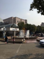 -上海交通大学医学院附属上海儿童医学中心(陆家嘴总院区)