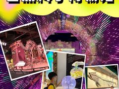 -正佳自然科学博物馆