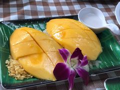 -Jungle Kitchen