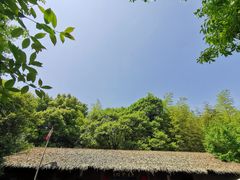 -杏花村文化旅游区