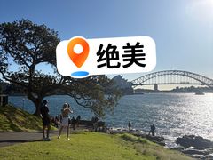 -麦考利夫人座椅