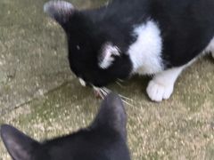 -南京工程学院(江宁校区)