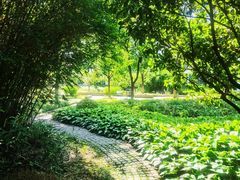 -上海市保健医疗中心