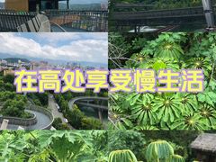 -福道