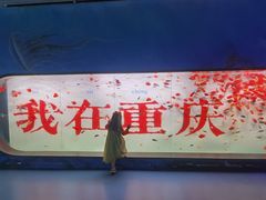 -重庆欢乐海底世界