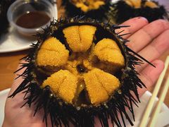 活海胆-海胆小馆(春柳店)