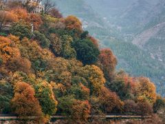 -白帝城·瞿塘峡景区