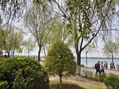 -丁香湖公园