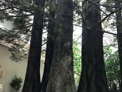 -中国湿地博物馆