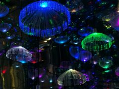 -成都梵高星空艺术馆(春熙路旗舰店)