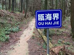 -大罗山风景区