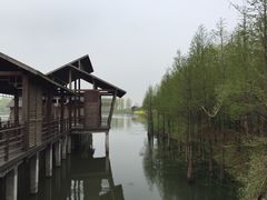 -溱湖国家湿地公园