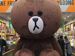 -line friends(明洞旗舰店)