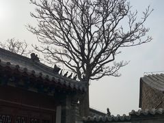 -蓬莱阁景区