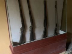 -全国青少年井冈山革命传统教育基地