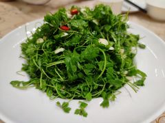 -天堂鸟水煮鱼·烟火川菜(凤凰路店)