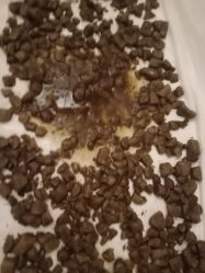 -姜美堂·蒸姜除湿の纤体美颜馆