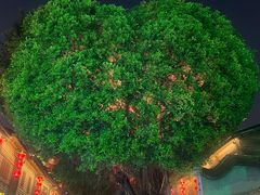 -星巴克(福州三坊七巷店)