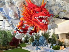 -河内内排国际机场